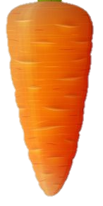 Carrot-4-1