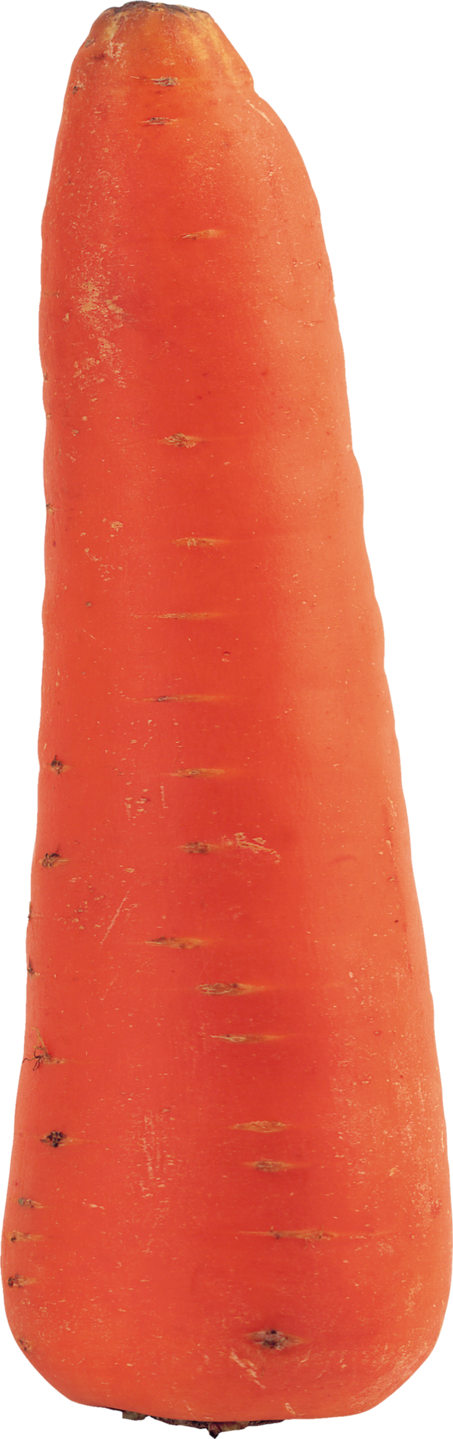 Carrot-6