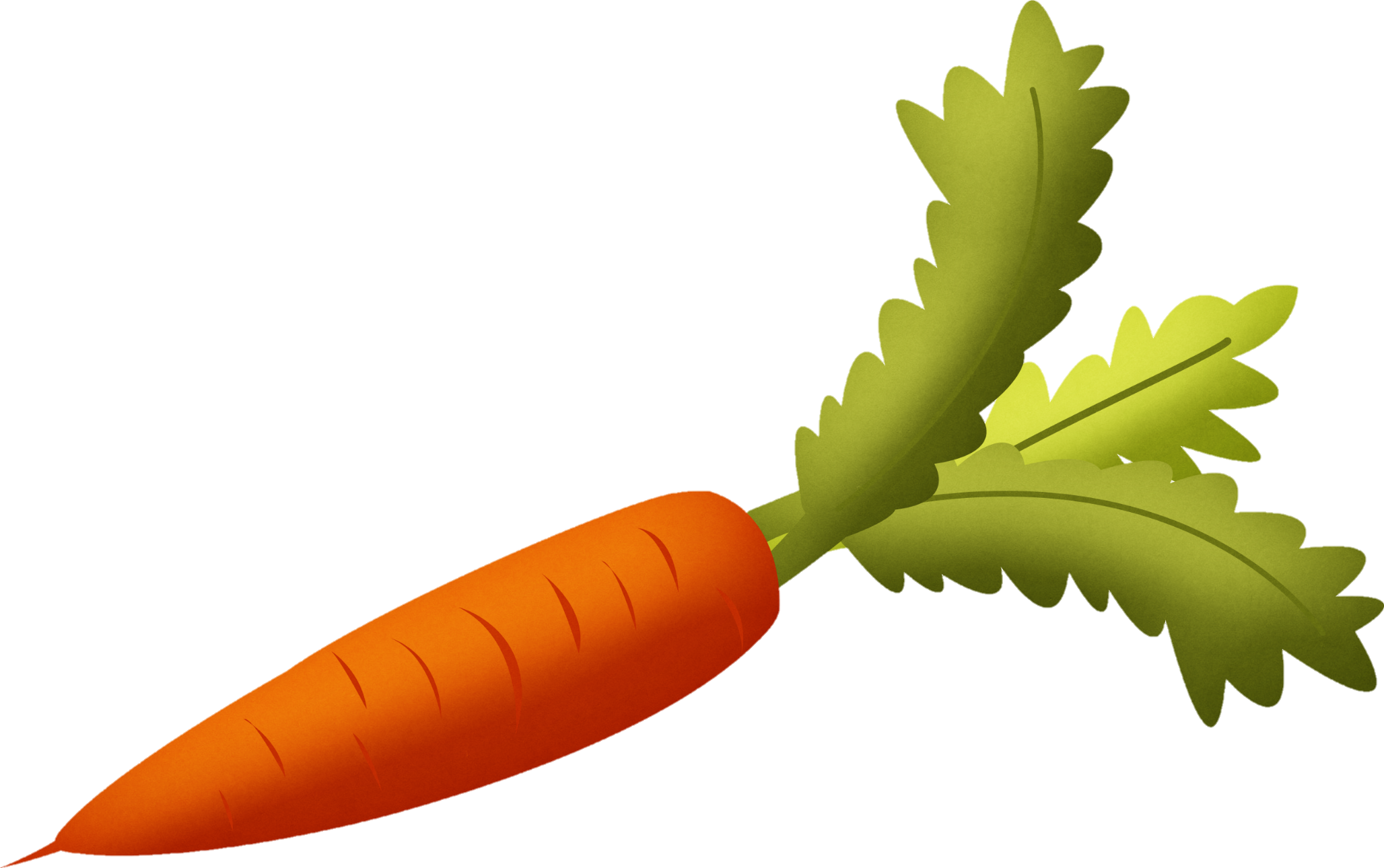 Carrot-7