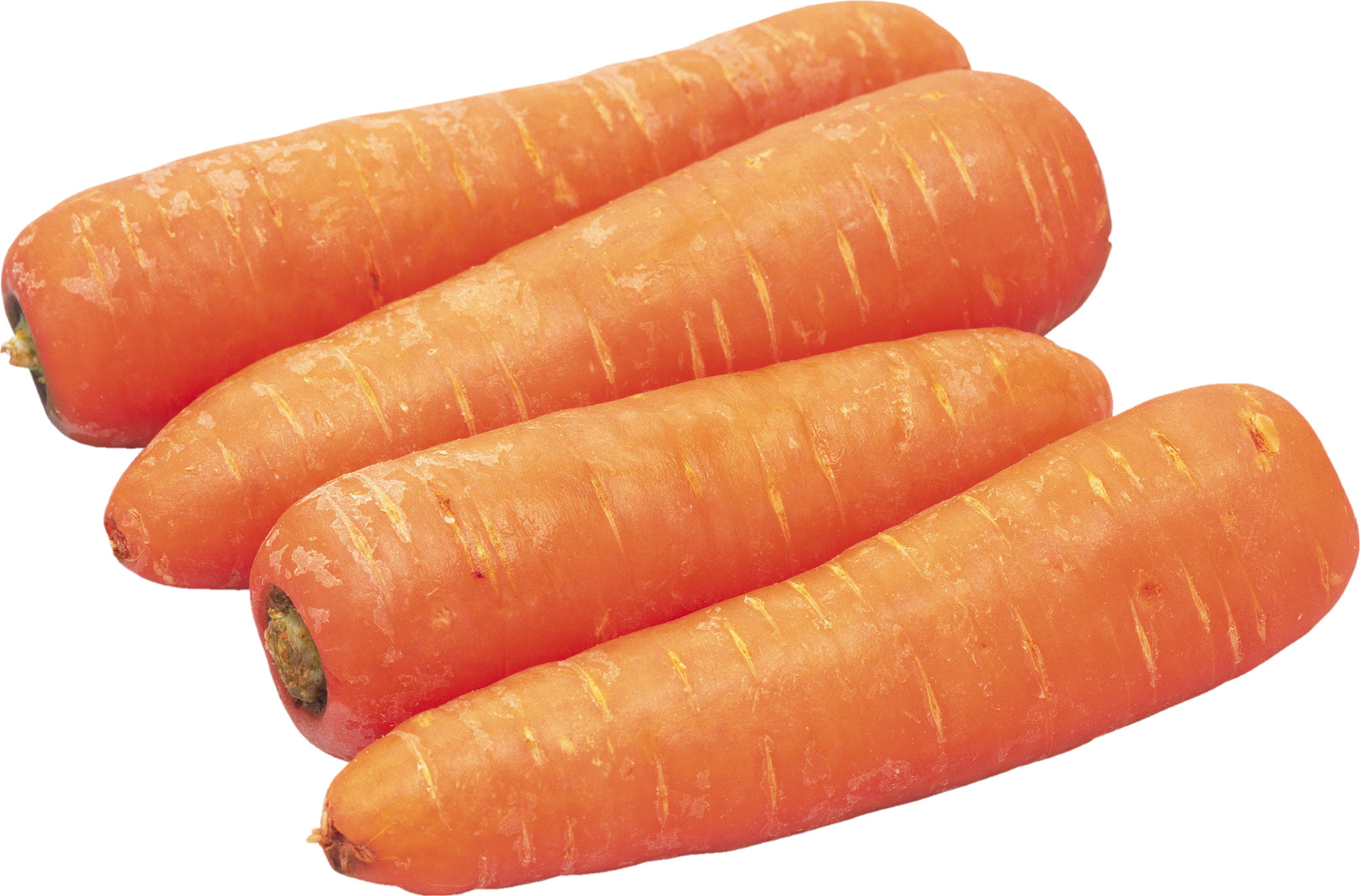 Carrot-8