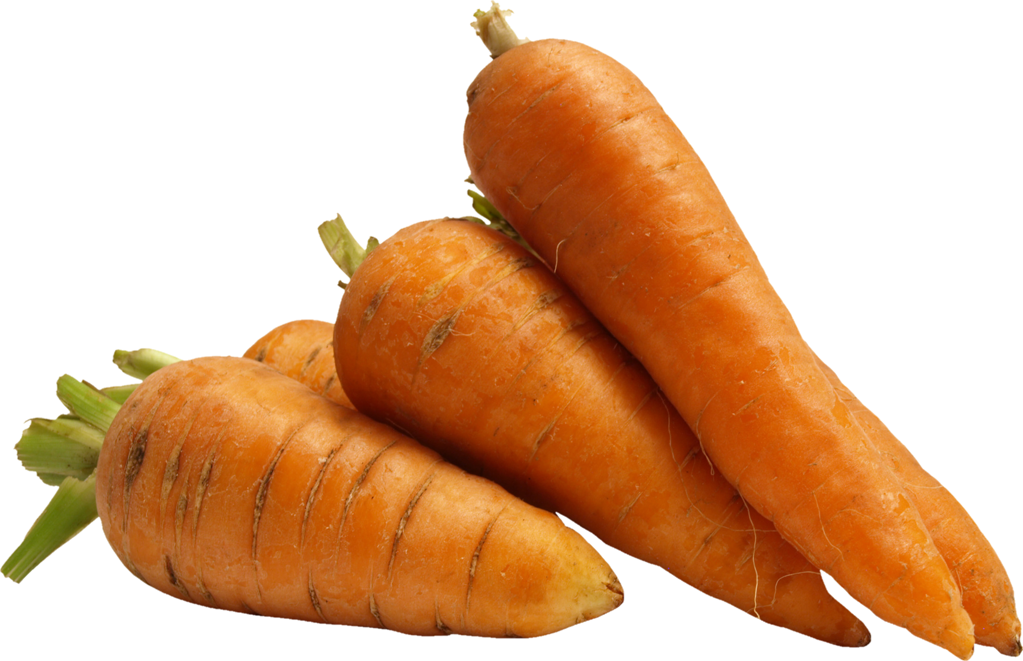 Carrot-9