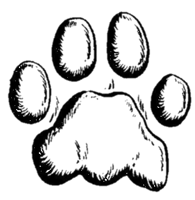 Cat Paw Drawing Png