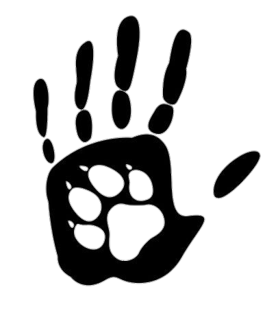 Cat Paw Print on Hand Vector Png