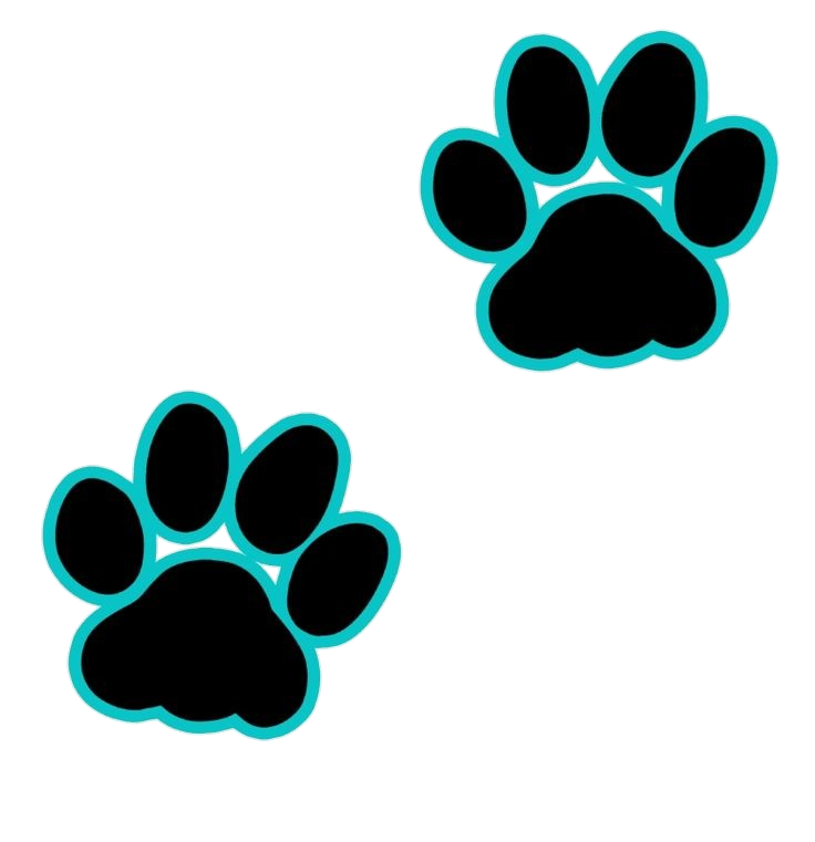Cat Paw clipart Png