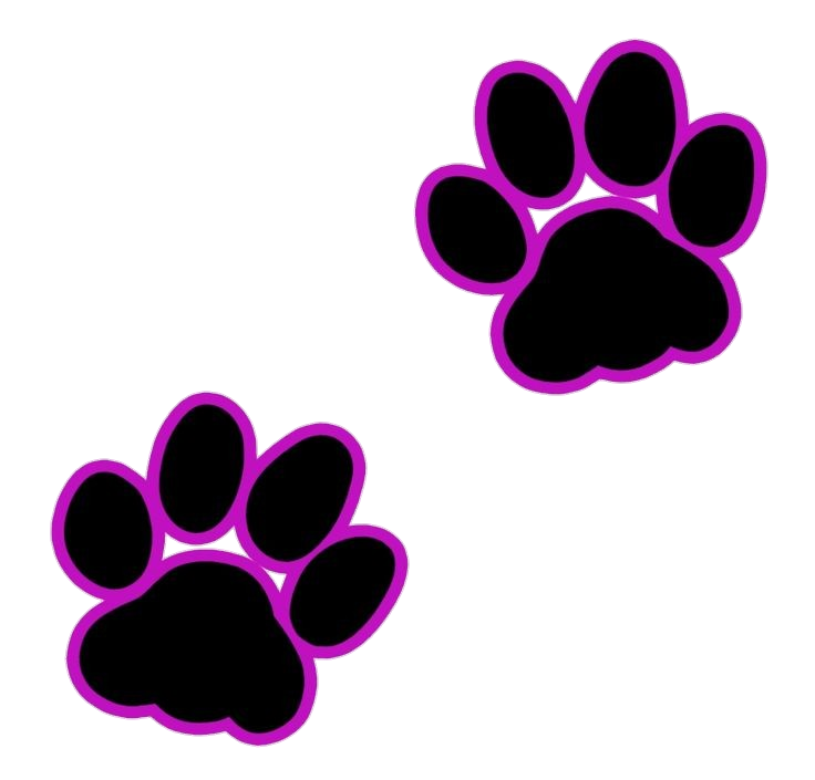Cat Paw PNG