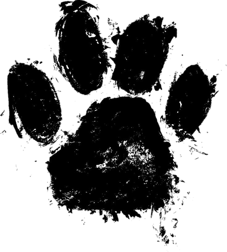 Cat Paw Drawing Png