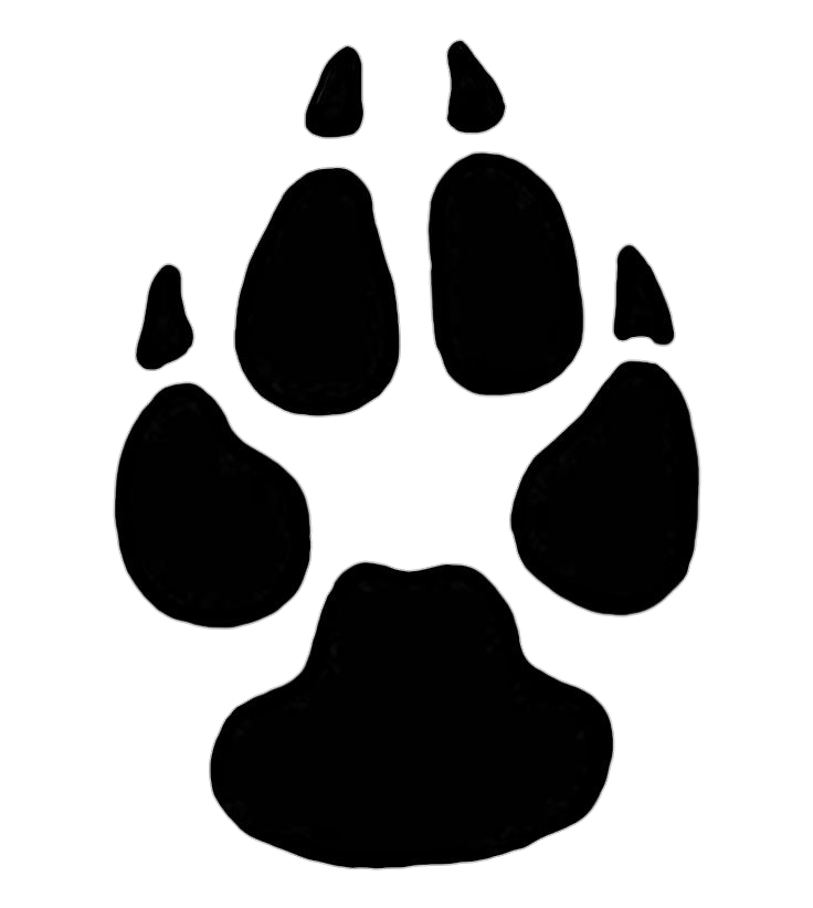 Cat Claw Png