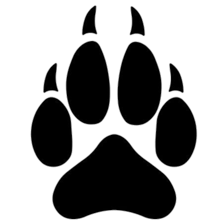Cat Paw vector Png