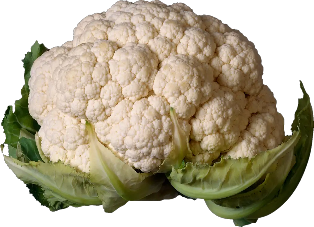 Transparent Cauliflower Png