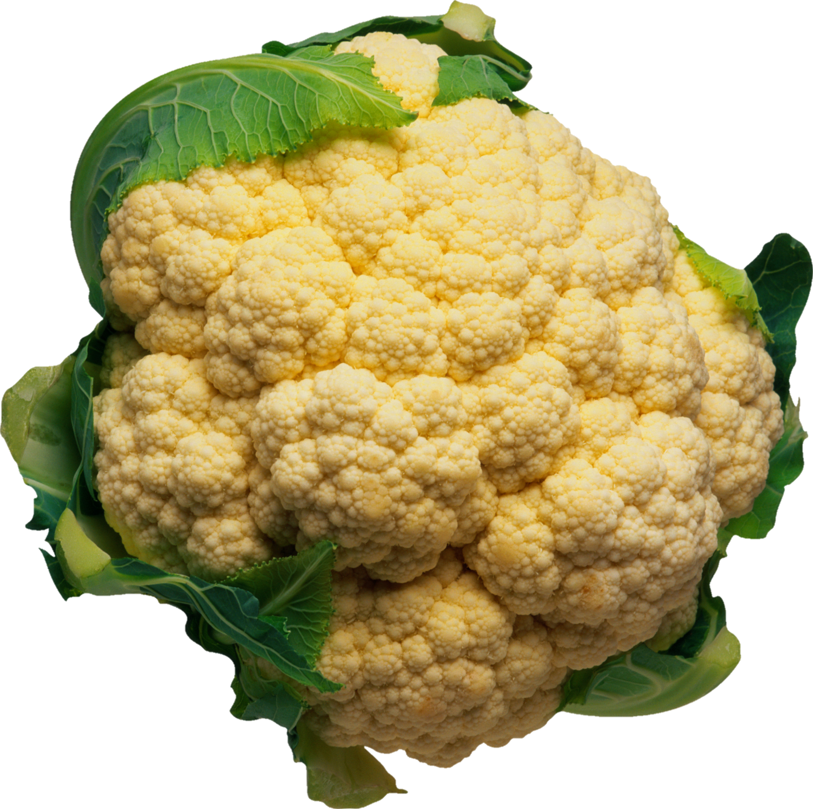 Cauliflower-12