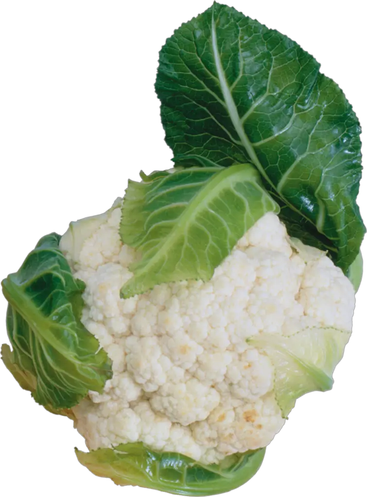 Transparent Cauliflower Png