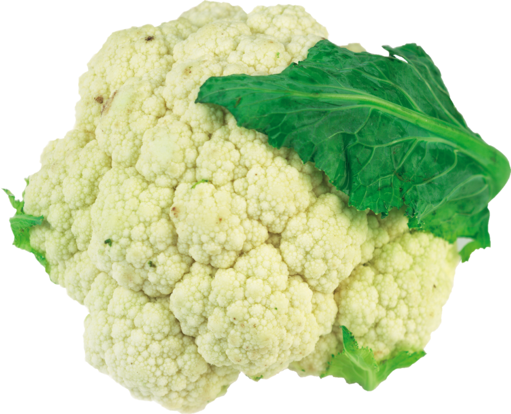 Fresh Cauliflower Png