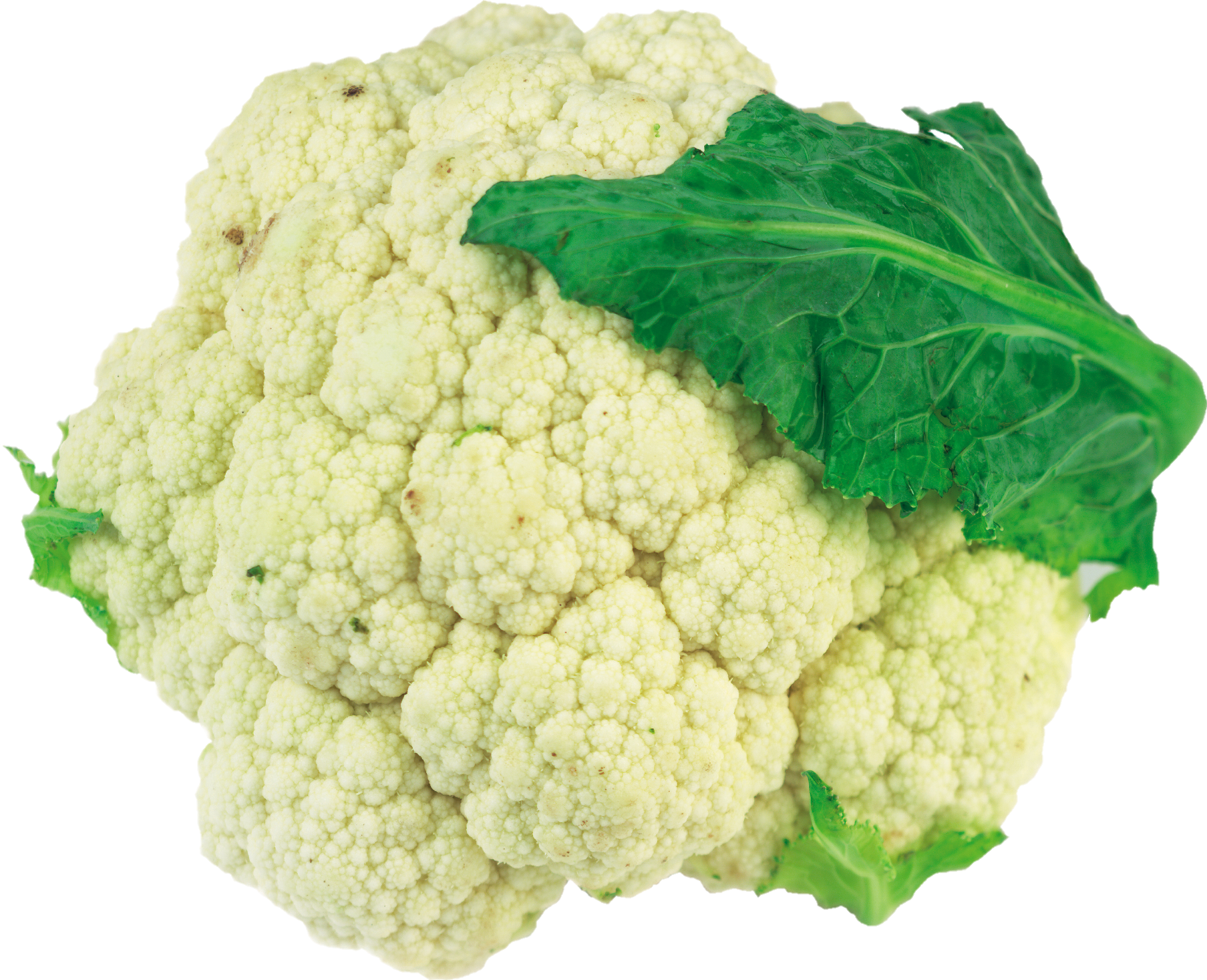 Cauliflower-14