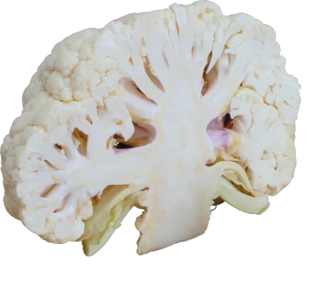 Chopped Cauliflower Png