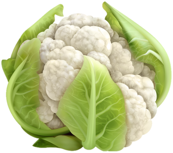 Cauliflower Clipart png 