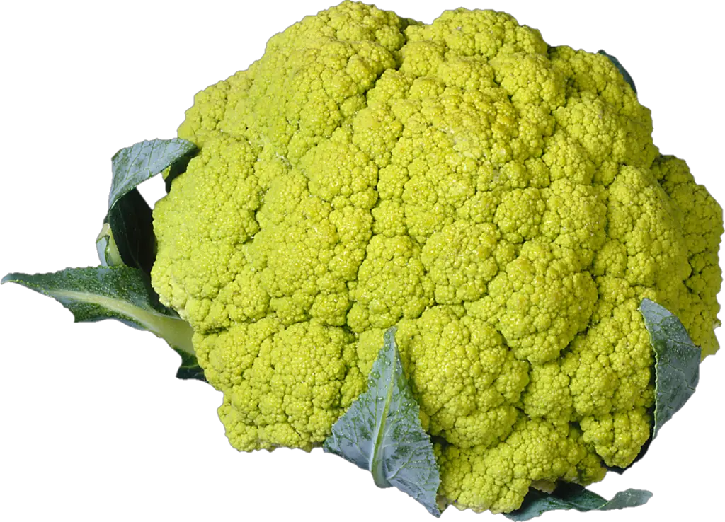 Green Cauliflower Png