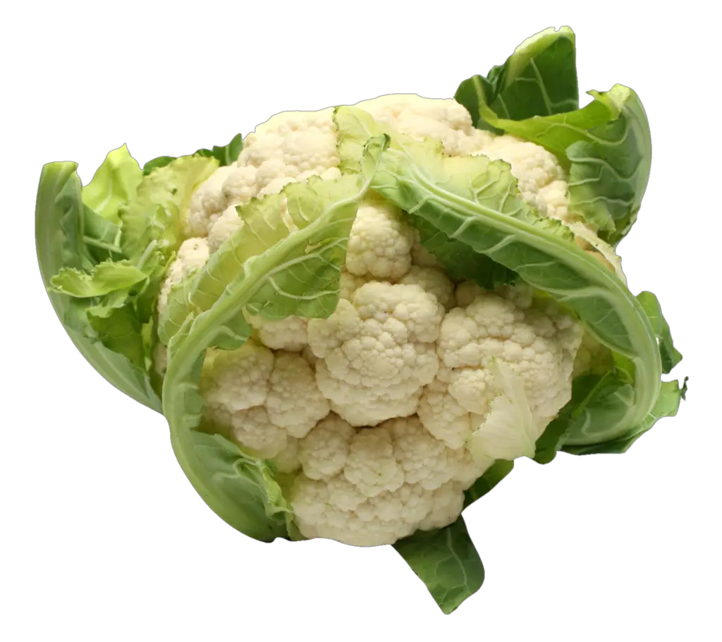 Transparent Cauliflower Png