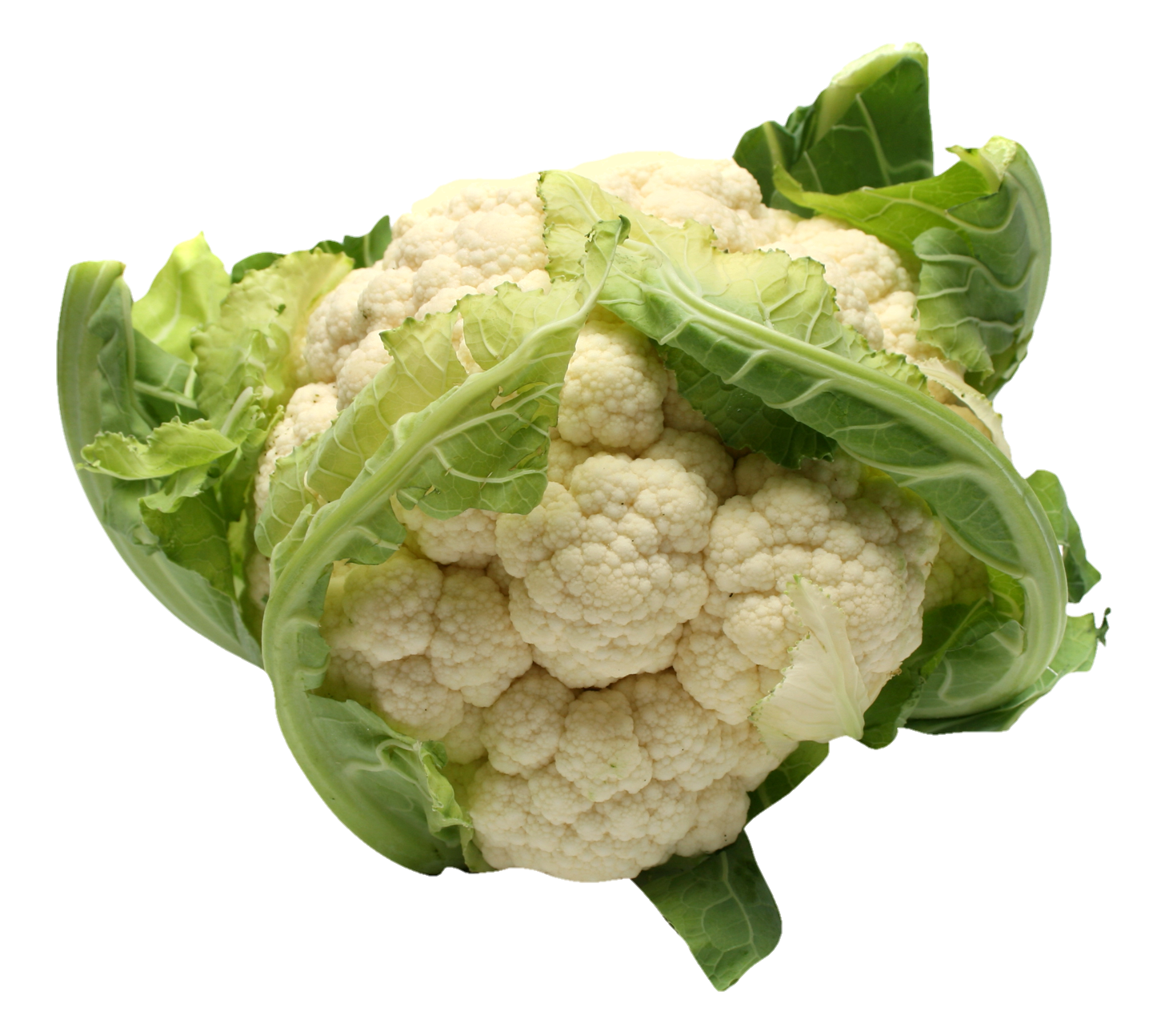 Cauliflower-21