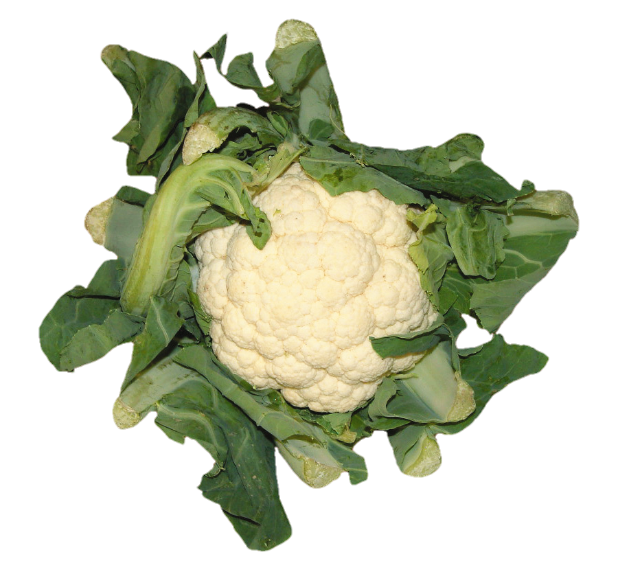 Cauliflower Vegetable png 