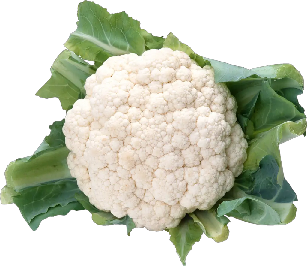 Fresh Cauliflower Png