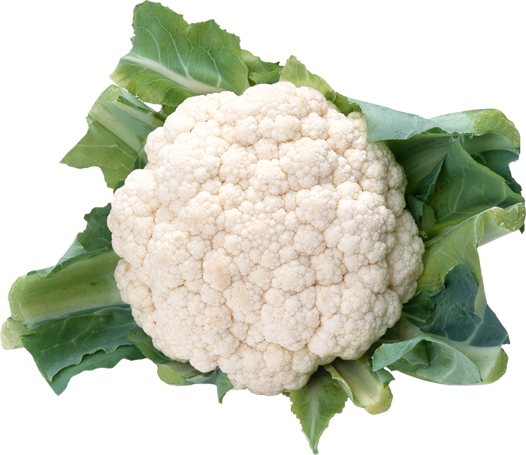 Cauliflower-25
