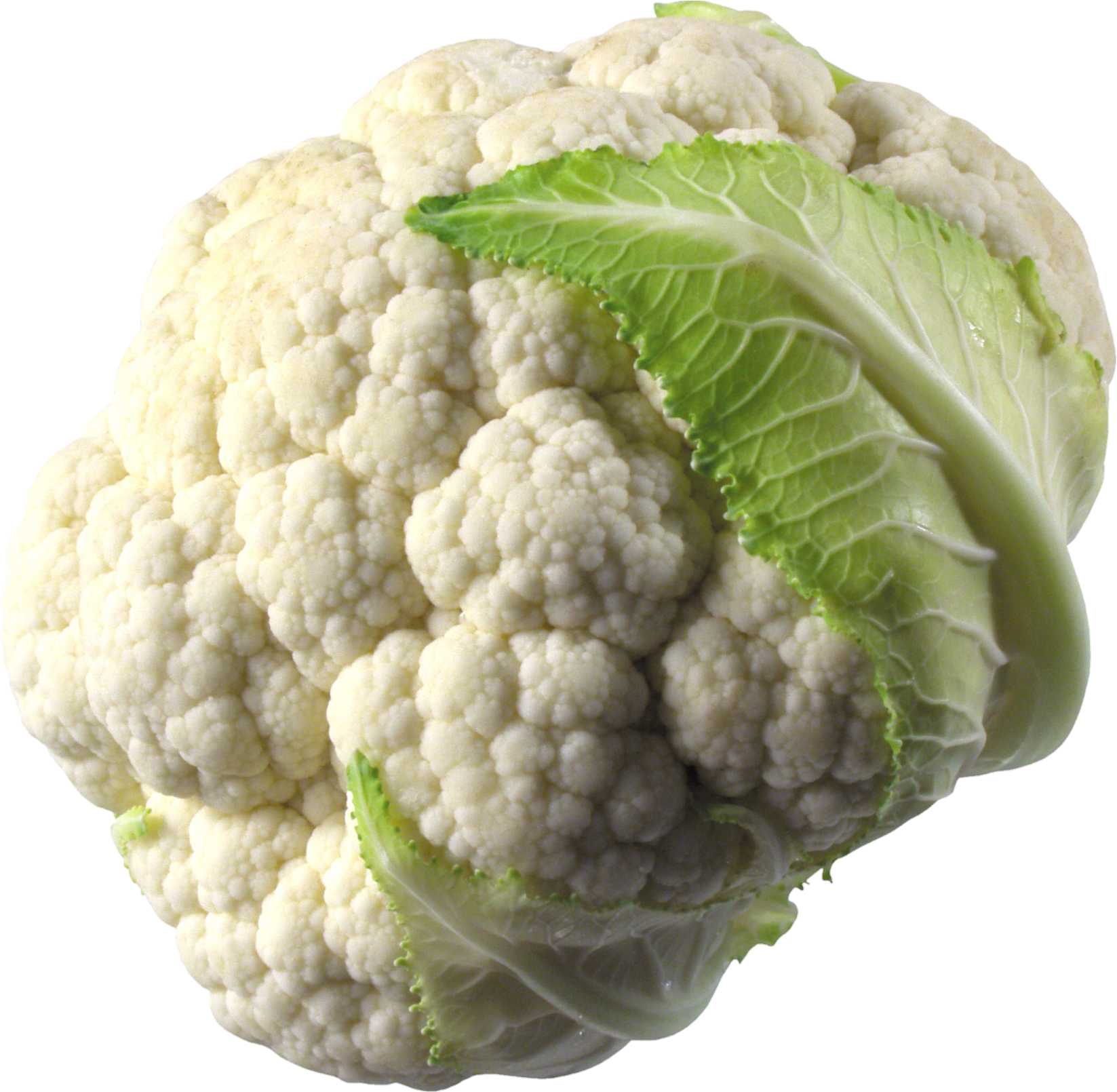 Cauliflower-27