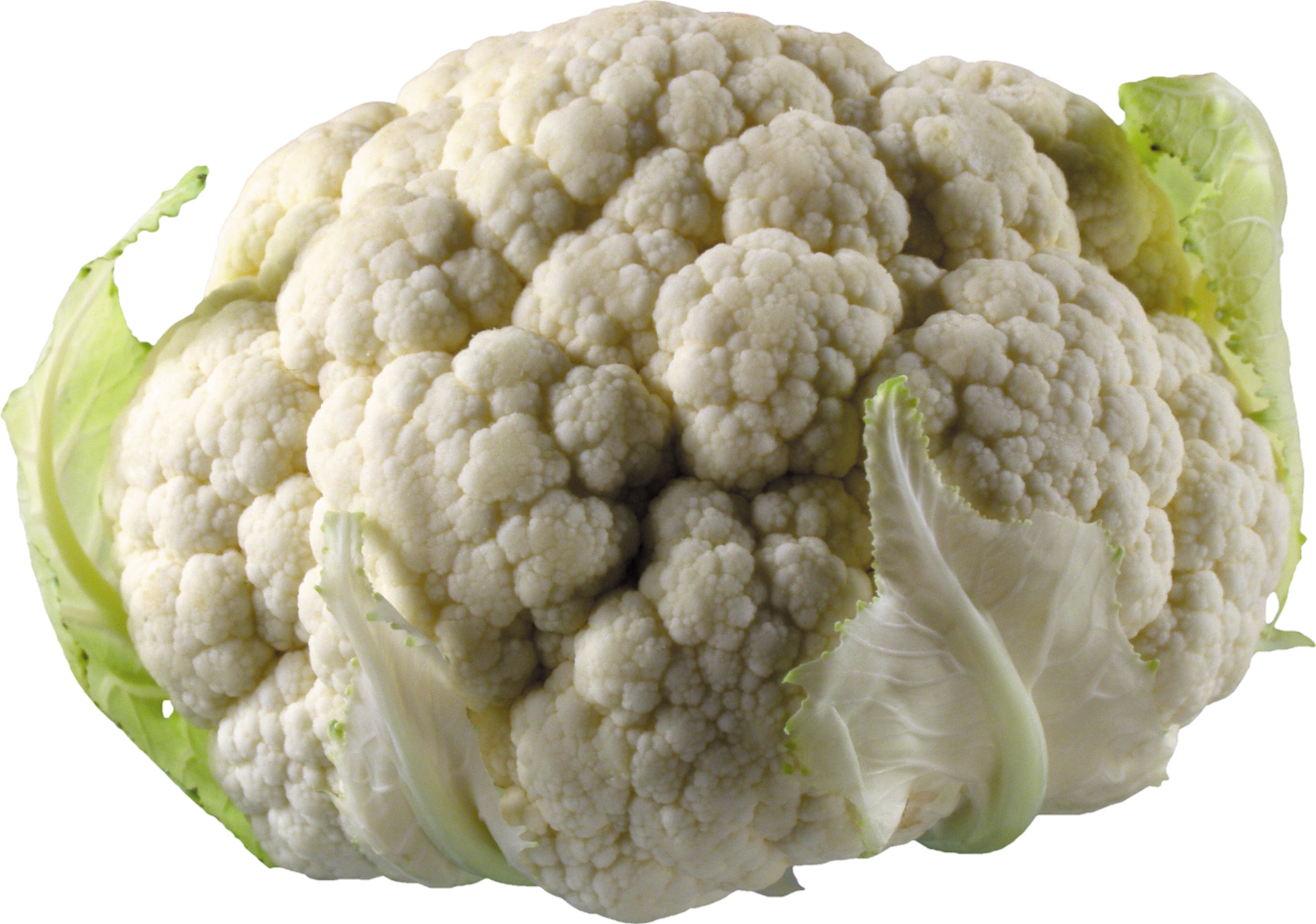 Cauliflower-8