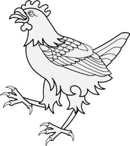 Chicken Outline Png