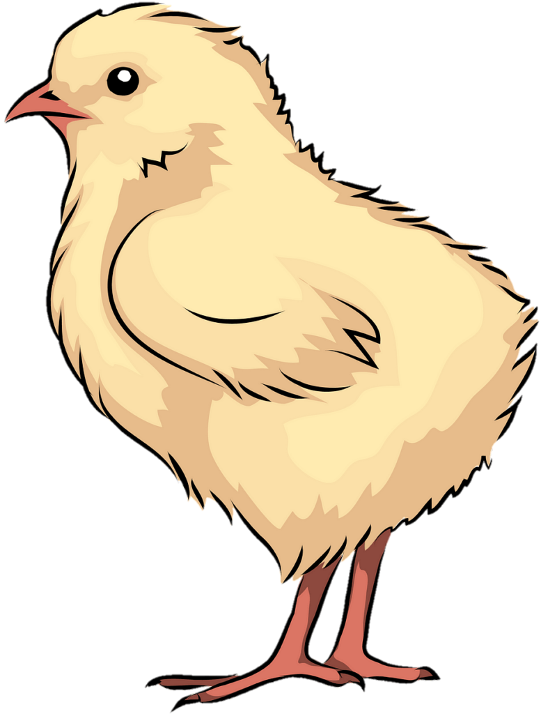 Chicken PNG Transparent Images Free Download - Pngfre