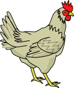 Chicken Png clipart