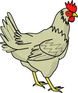 Chicken Png clipart