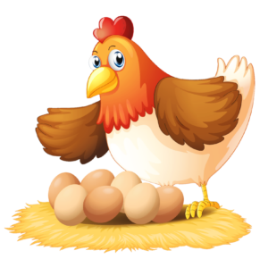 Animated Chicken with eggs Png