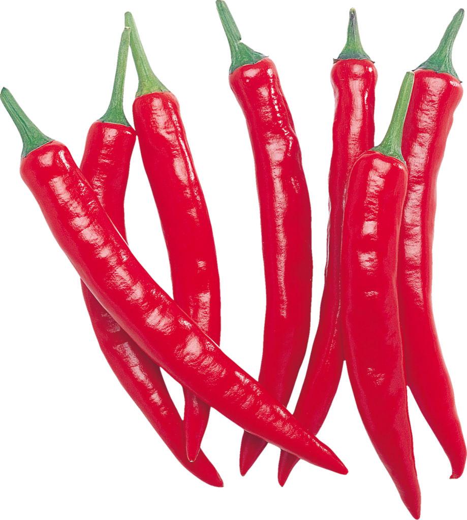 Red Chili Png with Transparent Background 