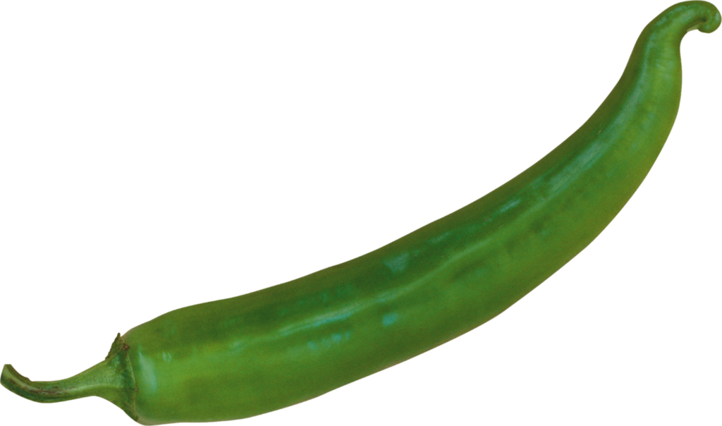 Single Green Chili Png