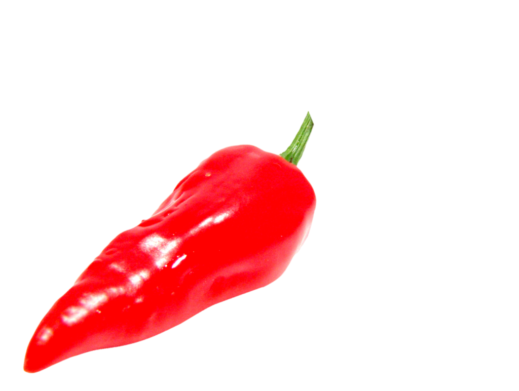 Red Chili Png