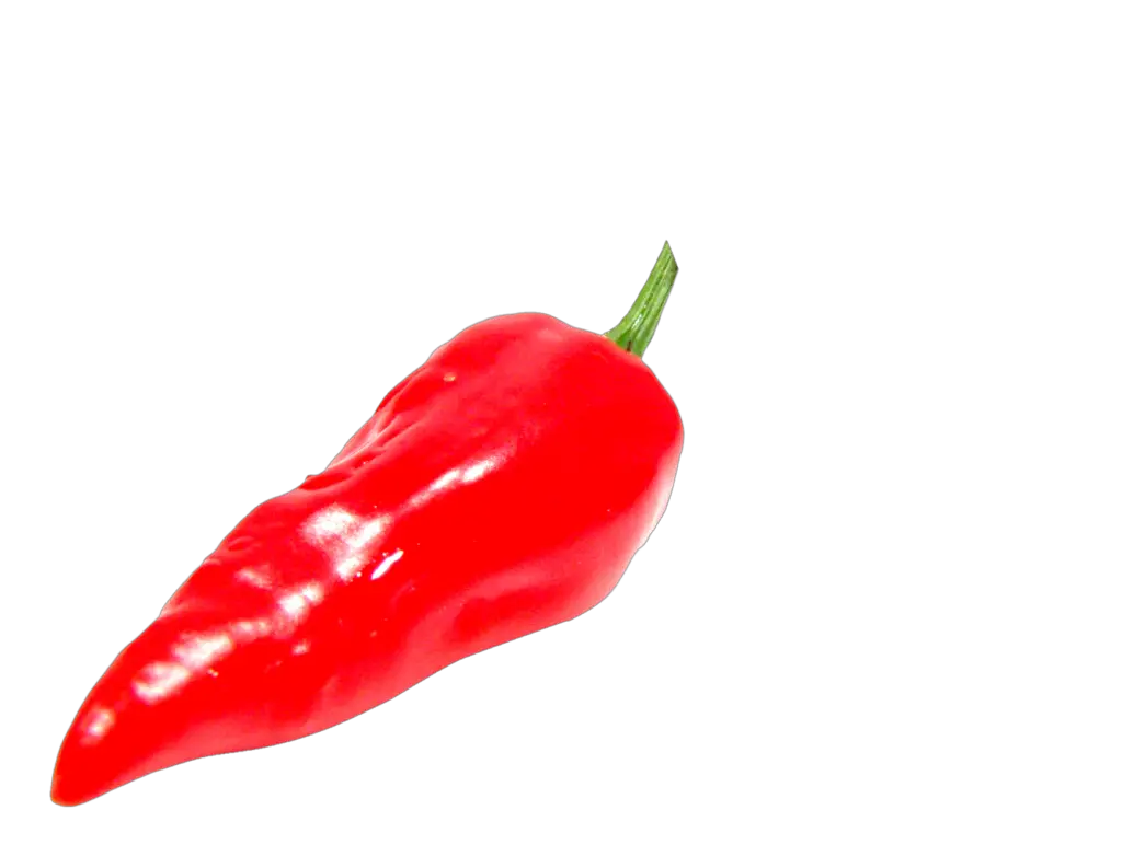 Red Chili Png