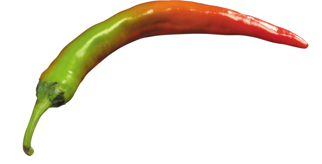 Red and Green Chili Png