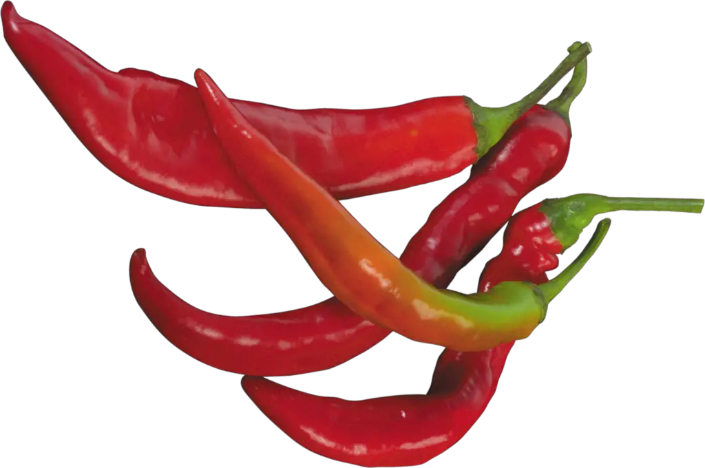 Vegetable Chili Png