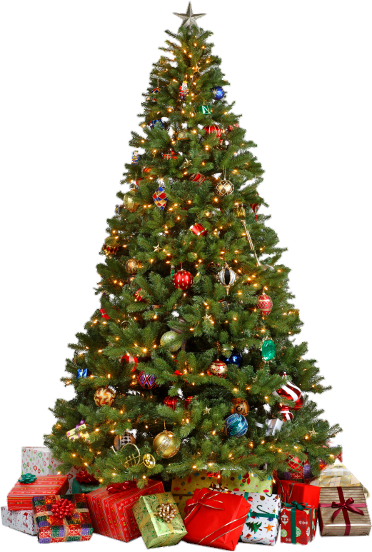 Decorated Christmas Tree Png