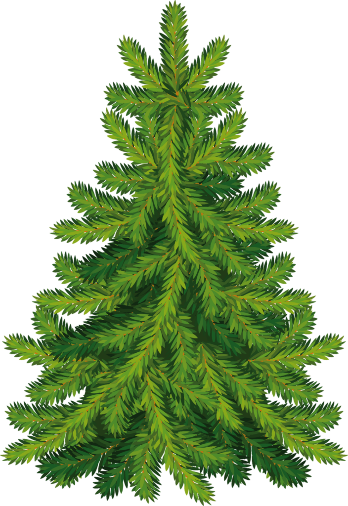 Christmas Tree clipart Png