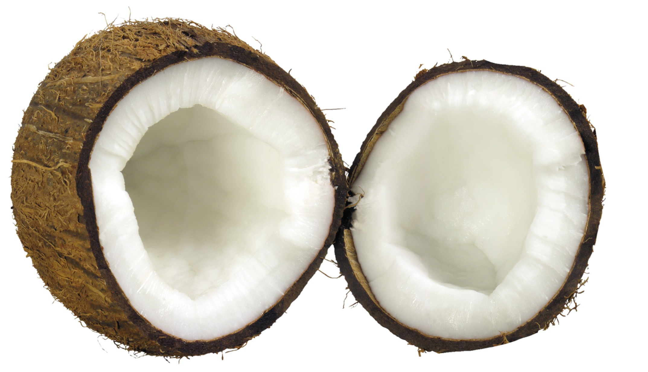 Coconut-10