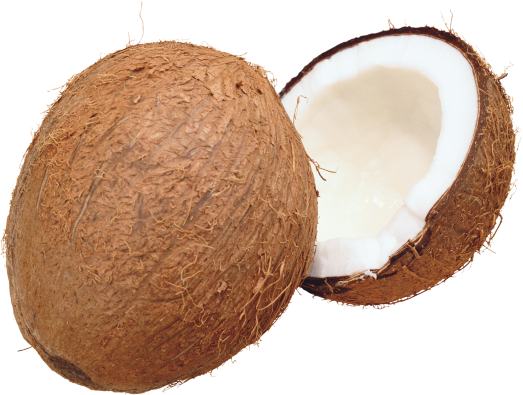 Transparent coconut Png