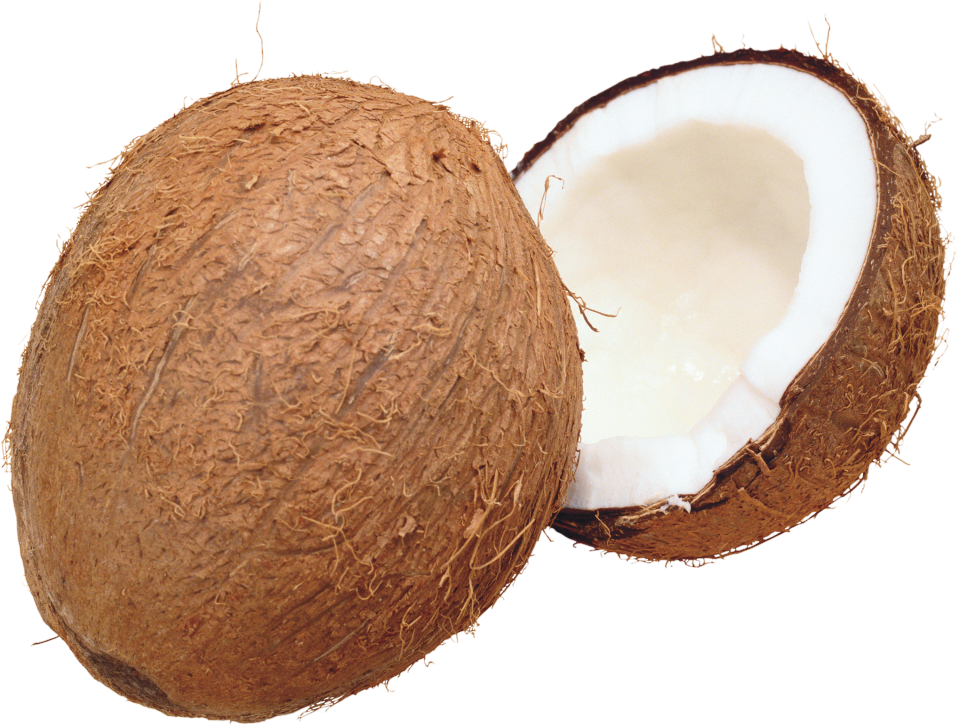 Coconut-11