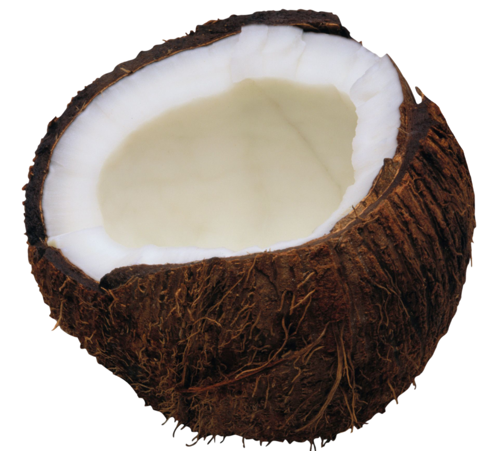 Half coconut Png