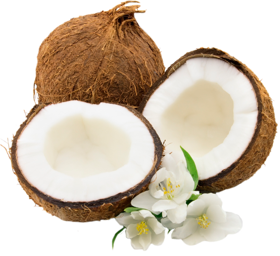 Tropical coconut Png
