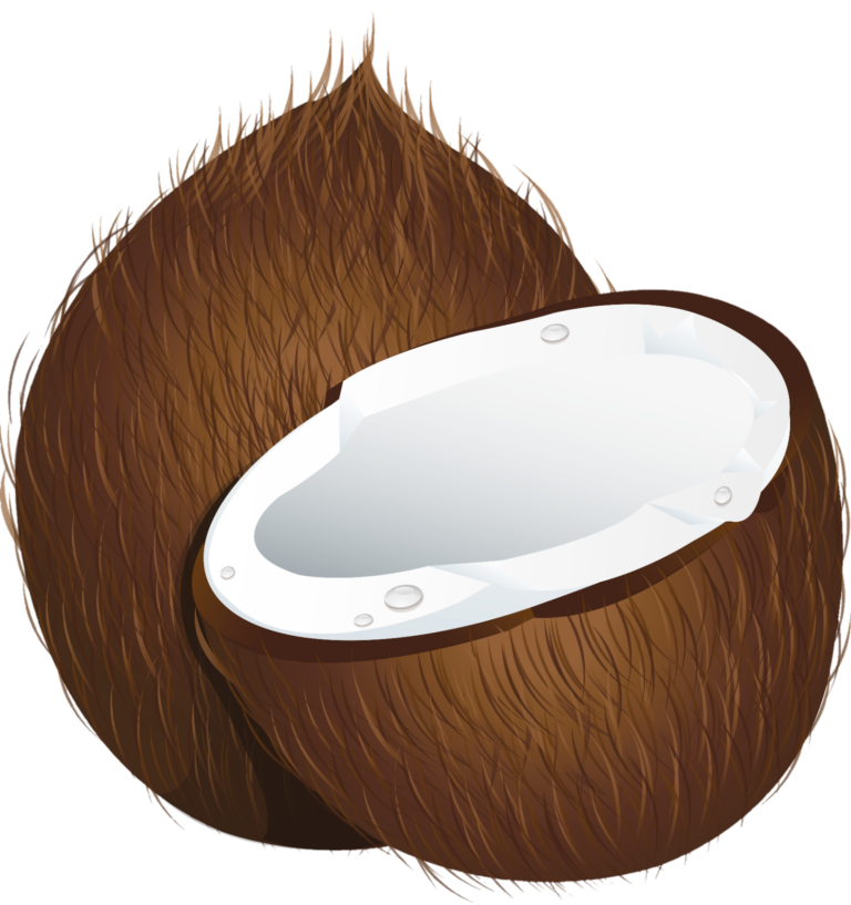 Coconut PNG Transparent Images Free Download - Pngfre