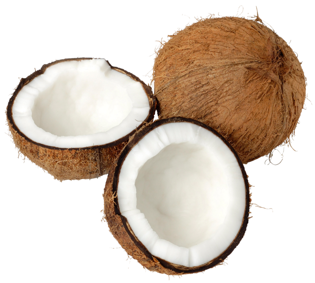 High Resolution coconut Png