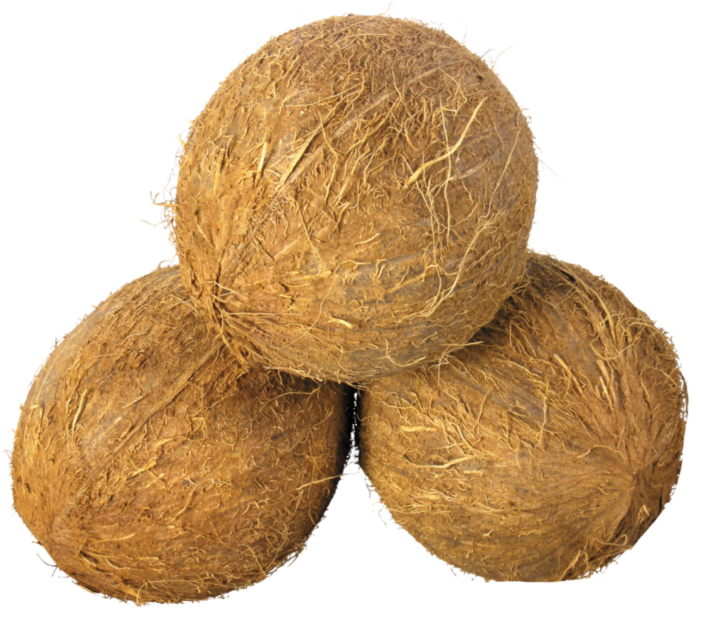 Three coconut Png