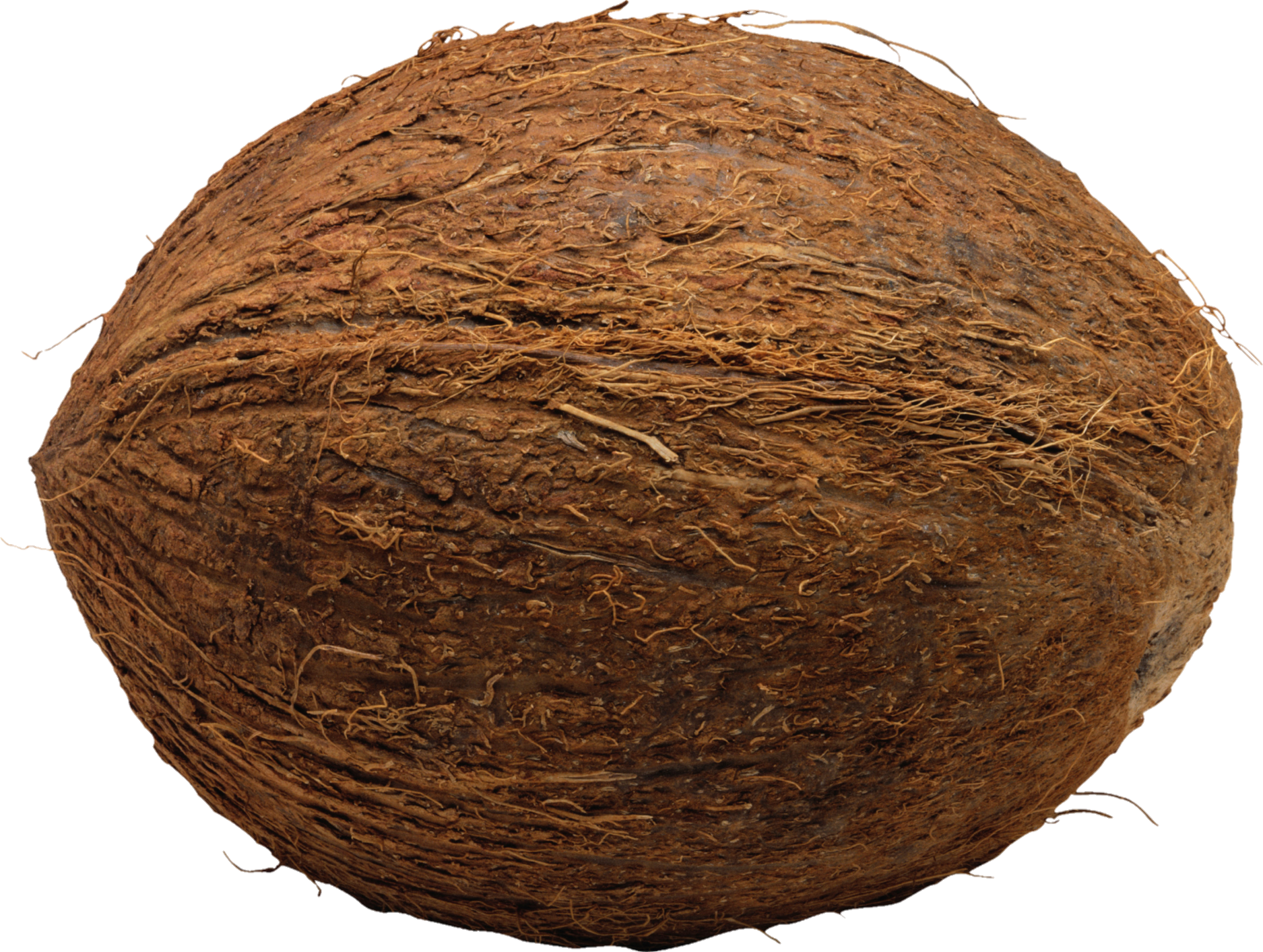 Coconut-23