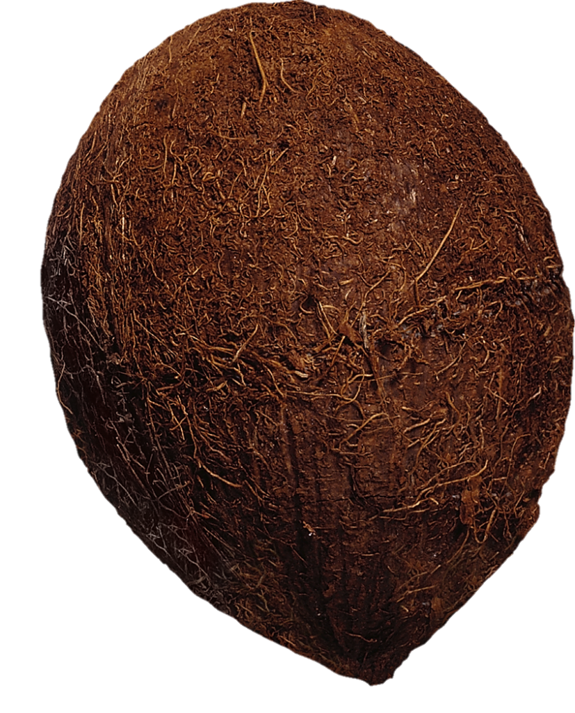 Full coconut Png